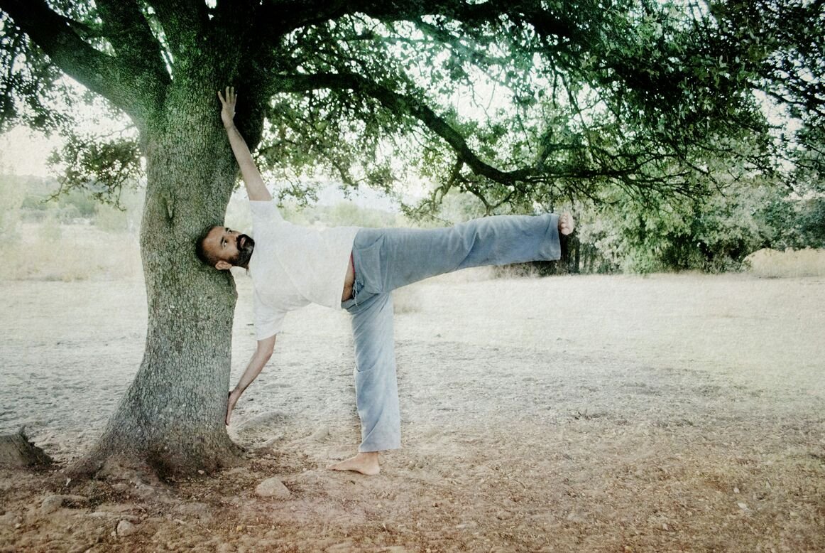 tai chi en valdemorillo